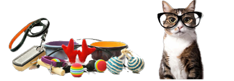 Katzenzubehör